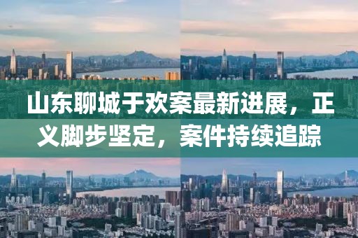 山东聊城于欢案最新进展，正义脚步坚定，案件持续追踪