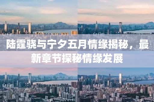 陆霆骁与宁夕五月情缘揭秘，最新章节探秘情缘发展