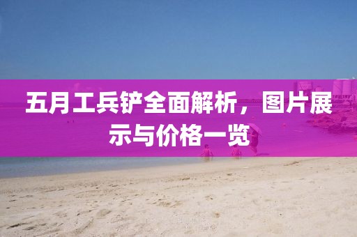 五月工兵铲全面解析，图片展示与价格一览