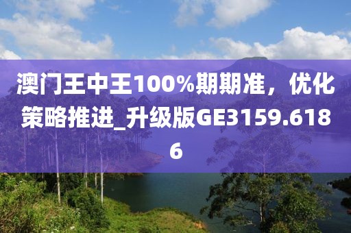 澳门王中王100%期期准，优化策略推进_升级版GE3159.6186