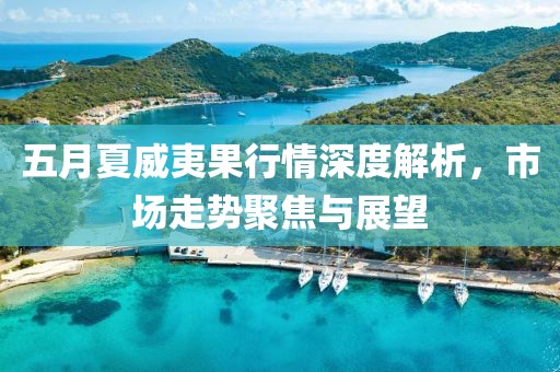 五月夏威夷果行情深度解析，市场走势聚焦与展望