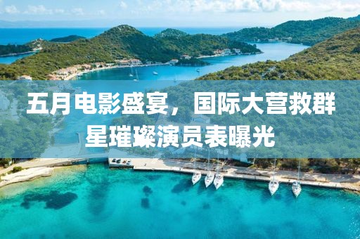 五月电影盛宴，国际大营救群星璀璨演员表曝光