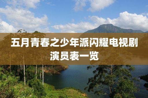 五月青春之少年派闪耀电视剧演员表一览