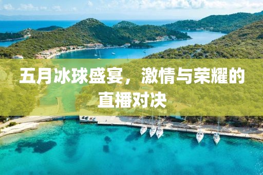 五月冰球盛宴，激情与荣耀的直播对决