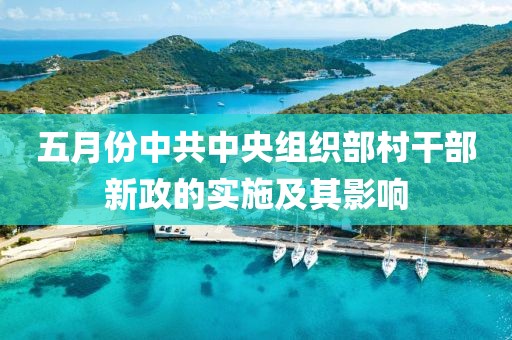 五月份中共中央组织部村干部新政的实施及其影响