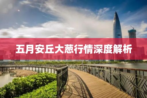 五月安丘大葱行情深度解析