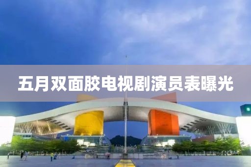 五月双面胶电视剧演员表曝光