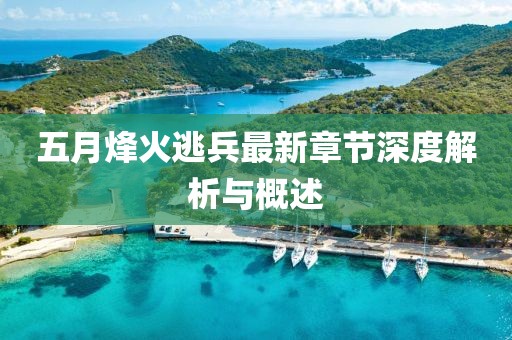 五月烽火逃兵最新章节深度解析与概述
