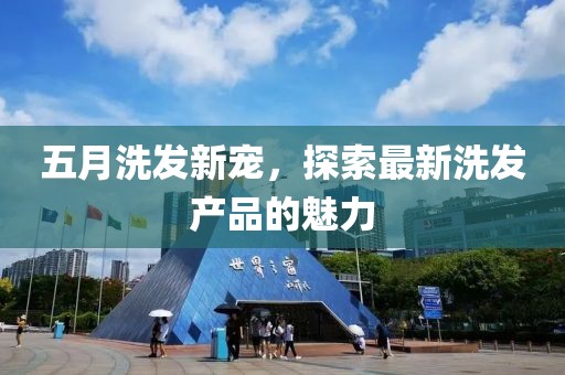 五月洗发新宠，探索最新洗发产品的魅力