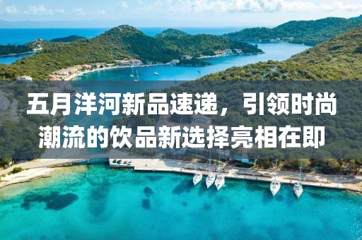 五月洋河新品速递，引领时尚潮流的饮品新选择亮相在即