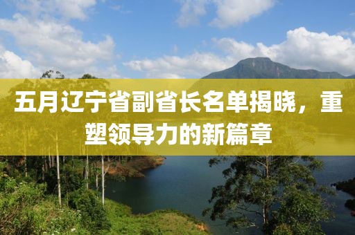 五月辽宁省副省长名单揭晓，重塑领导力的新篇章