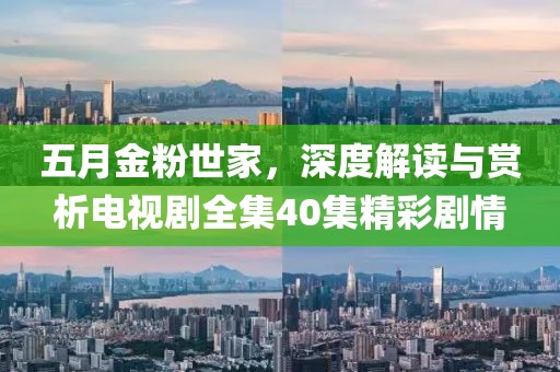 五月金粉世家，深度解读与赏析电视剧全集40集精彩剧情