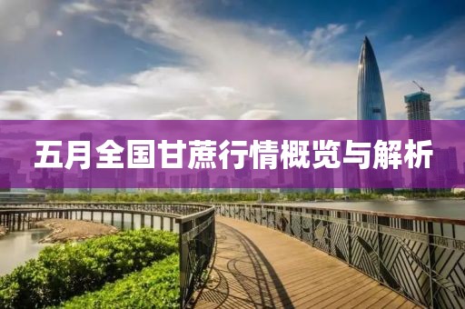 五月全国甘蔗行情概览与解析