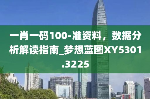 一肖一码100-准资料，数据分析解读指南_梦想蓝图XY5301.3225