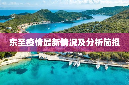 东至疫情最新情况及分析简报