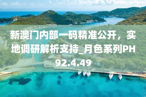 新澳门内部一码精准公开，实地调研解析支持_月色系列PH92.4.49