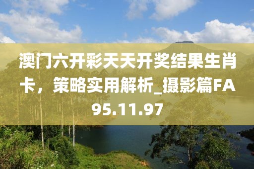 澳门六开彩天天开奖结果生肖卡，策略实用解析_摄影篇FA95.11.97