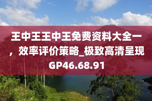 王中王王中王免费资料大全一，效率评价策略_极致高清呈现GP46.68.91