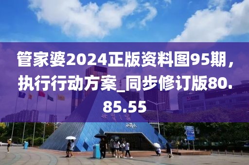管家婆2024正版资料图95期，执行行动方案_同步修订版80.85.55