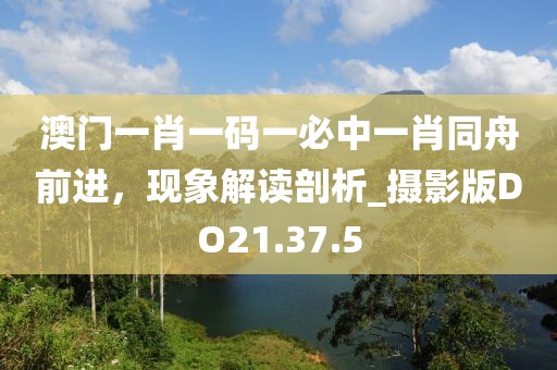 澳门一肖一码一必中一肖同舟前进，现象解读剖析_摄影版DO21.37.5