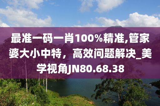 最准一码一肖100%精准,管家婆大小中特，高效问题解决_美学视角JN80.68.38
