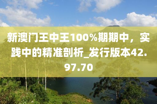 新澳门王中王100%期期中，实践中的精准剖析_发行版本42.97.70