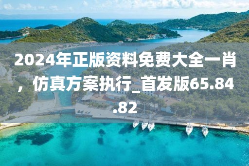 2024年正版资料免费大全一肖，仿真方案执行_首发版65.84.82