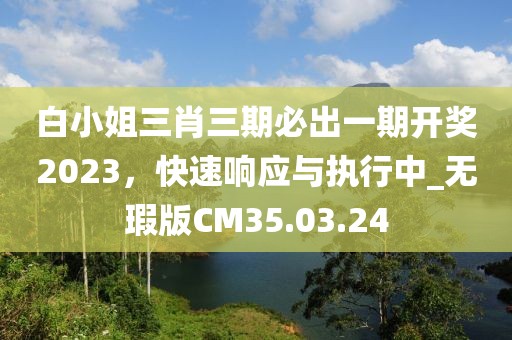 白小姐三肖三期必出一期开奖2023，快速响应与执行中_无瑕版CM35.03.24