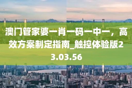 澳门管家婆一肖一码一中一，高效方案制定指南_触控体验版23.03.56