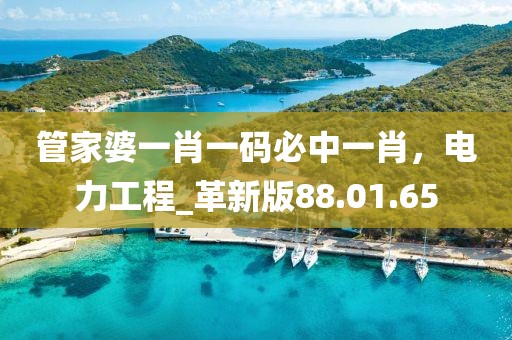 管家婆一肖一码必中一肖，电力工程_革新版88.01.65