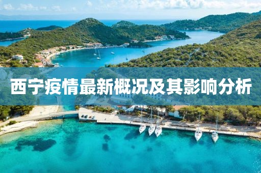 西宁疫情最新概况及其影响分析