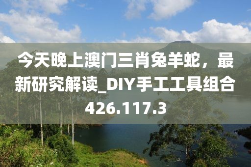 今天晚上澳门三肖兔羊蛇，最新研究解读_DIY手工工具组合426.117.3