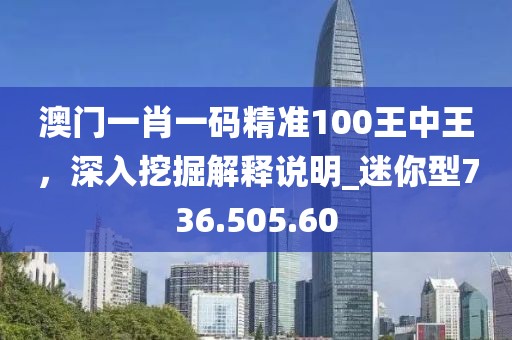 澳门一肖一码精准100王中王，深入挖掘解释说明_迷你型736.505.60