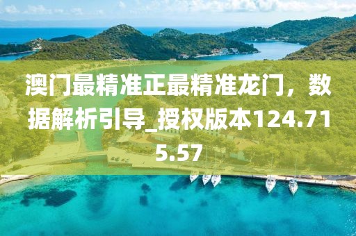 澳门最精准正最精准龙门，数据解析引导_授权版本124.715.57
