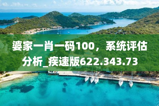 婆家一肖一码100，系统评估分析_疾速版622.343.73