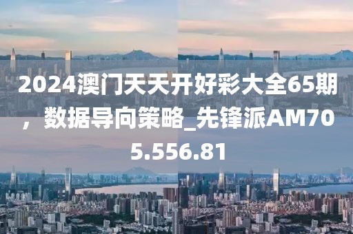 2024澳门天天开好彩大全65期，数据导向策略_先锋派AM705.556.81
