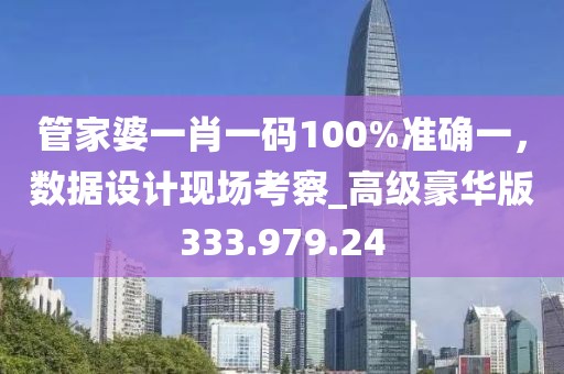 管家婆一肖一码100%准确一，数据设计现场考察_高级豪华版333.979.24