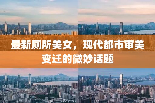 最新厕所美女，现代都市审美变迁的微妙话题