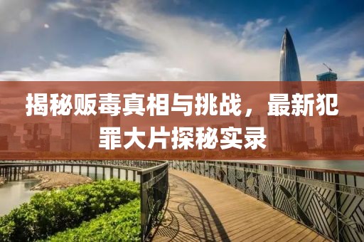 揭秘贩毒真相与挑战，最新犯罪大片探秘实录