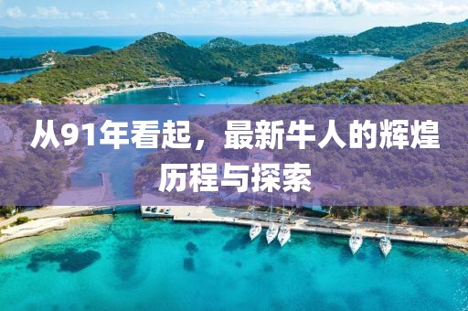 从91年看起，最新牛人的辉煌历程与探索
