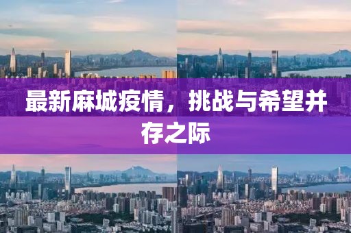最新麻城疫情，挑战与希望并存之际
