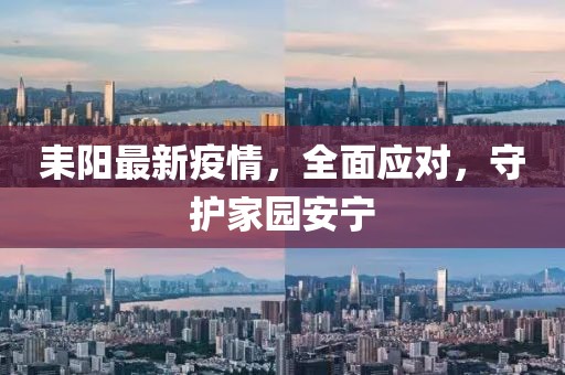 耒阳最新疫情，全面应对，守护家园安宁