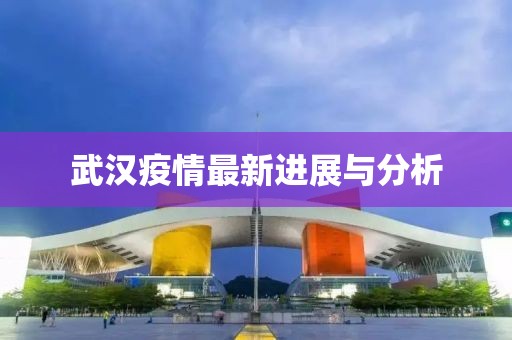 武汉疫情最新进展与分析