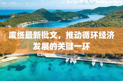 废纸最新批文，推动循环经济发展的关键一环