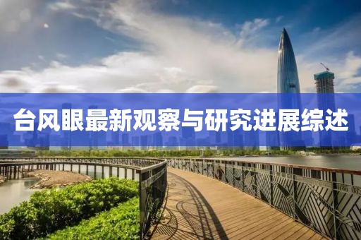 台风眼最新观察与研究进展综述