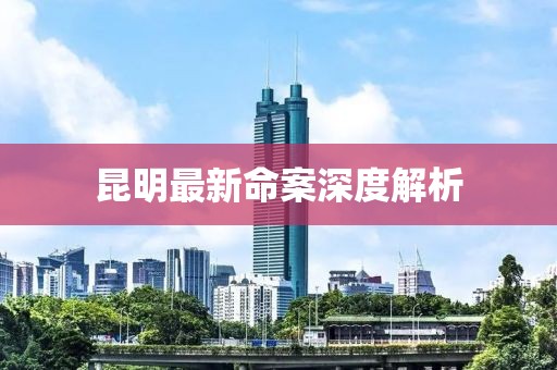 昆明最新命案深度解析