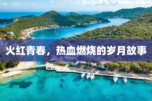 怜惜 第27页