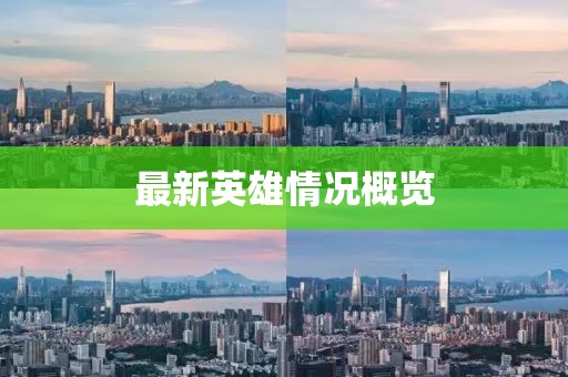 最新英雄情况概览