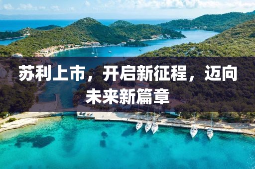 苏利上市，开启新征程，迈向未来新篇章