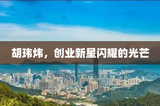 胡玮炜，创业新星闪耀的光芒